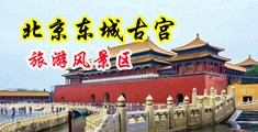 淫娃艳妇中国北京-东城古宫旅游风景区